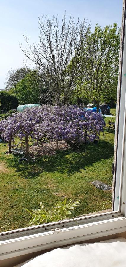 Wisteria House Bed and Breakfast Chanteloup  Eksteriør billede