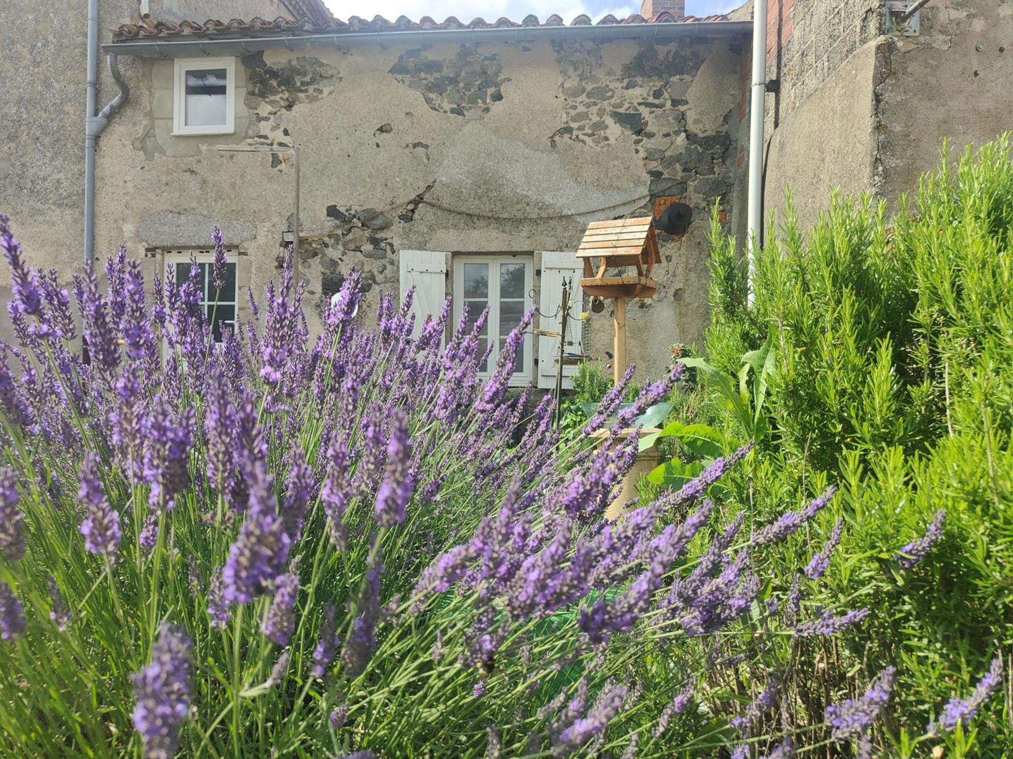 Wisteria House Bed and Breakfast Chanteloup  Eksteriør billede