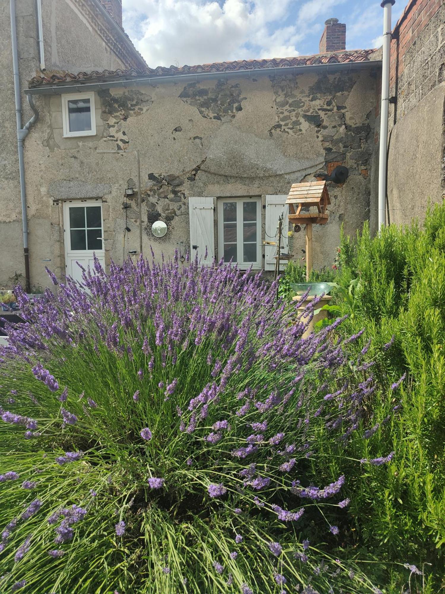 Wisteria House Bed and Breakfast Chanteloup  Eksteriør billede