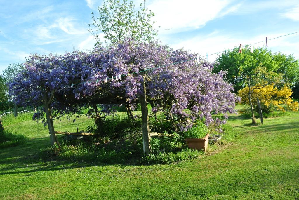 Wisteria House Bed and Breakfast Chanteloup  Eksteriør billede